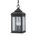Troy Lighting Henry Street Outdoor Pendant