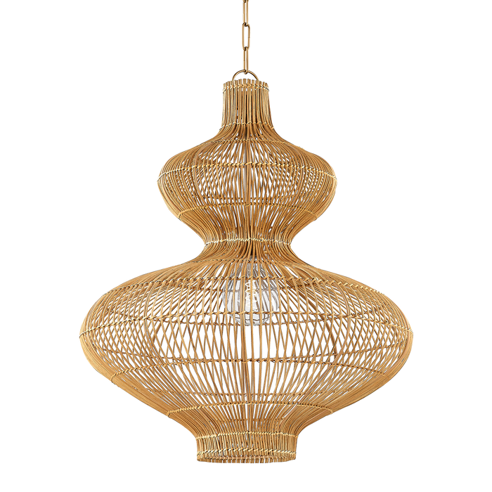 Troy Lighting Irvine Pendant
