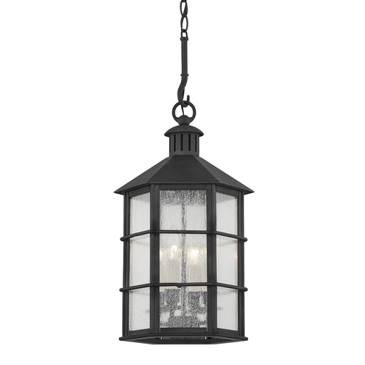 Troy Lighting Lake County Outdoor Pendant