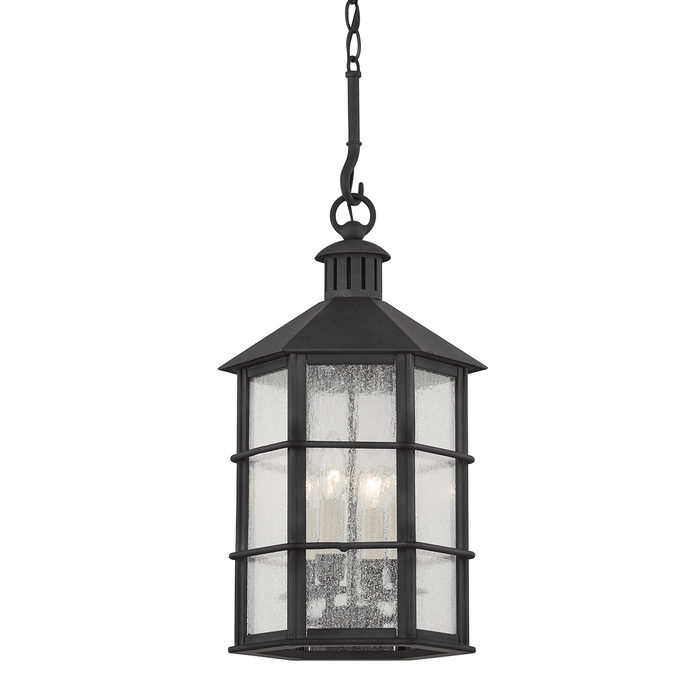 Troy Lighting Lake County Outdoor Pendant