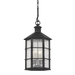 Troy Lighting Lake County Outdoor Pendant