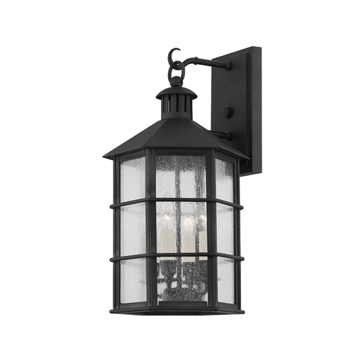 Troy Lighting Lake County Outdoor Wall Sconce