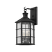 Troy Lighting Lake County Outdoor Wall Sconce