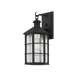 Troy Lighting Lake County Outdoor Wall Sconce