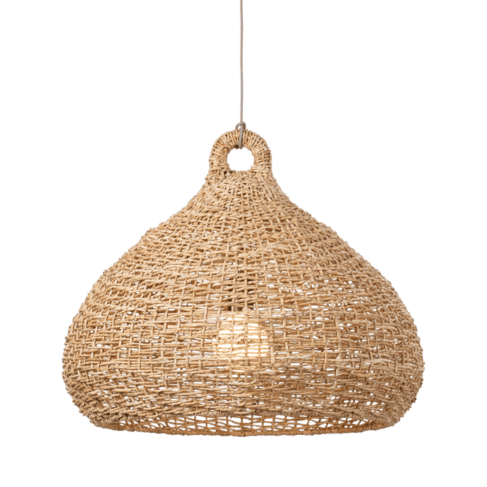 Troy Lighting Lechlan Pendant