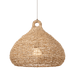 Troy Lighting Lechlan Pendant