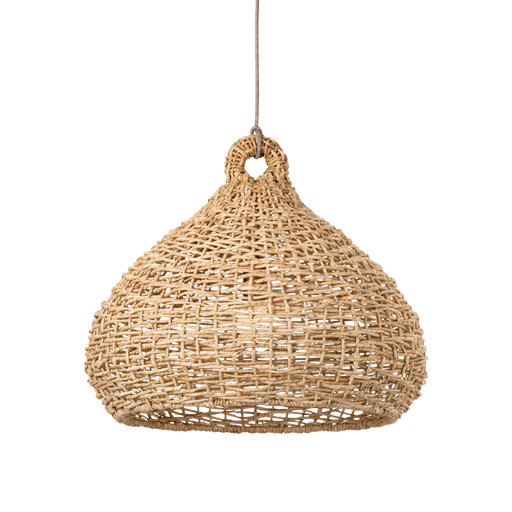 Troy Lighting Lechlan Pendant