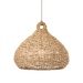 Troy Lighting Lechlan Pendant