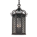Troy Lighting Los Olivos Lantern