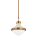 Troy Lighting Maxton Pendant