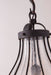 Troy Lighting Murphy Pendant