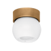 Troy Lighting Odin Flush Mount