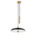 Troy Lighting Plummet Pendant