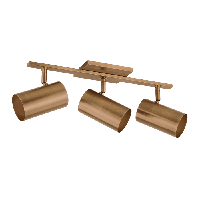 Troy Lighting Rueben Vanity Light