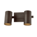 Troy Lighting Rueben Vanity Light
