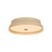 Troy Lighting Shore Flush Mount