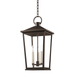Troy Lighting Soren Outdoor Pendant
