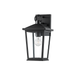 Troy Lighting Soren Outdoor Wall Sconce