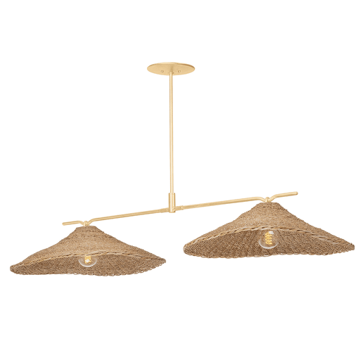 Troy Lighting Valier Linear Suspension