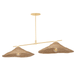 Troy Lighting Valier Linear Suspension