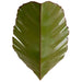 Varaluz Banana Leaf Wall Sconce