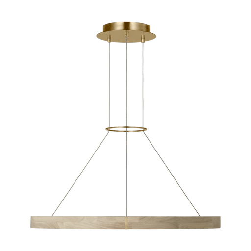 Visual Comfort Modern Ashok Chandelier