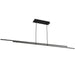 Visual Comfort Modern Stagger 2 Linear Suspension