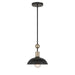 BILOXI 24" 1 Light Pendant in Coal and Weathered Antique Brass Finish and a Steel Shade - Minka-Lavery