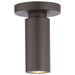 WAC Caliber LED Indoor/Outdoor Pendant - Overstock