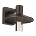 Ash 10" Outdoor Wall Sconce - Bronze Finish