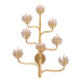 Agave Americana Wall Sconce - Gold Leaf Finish