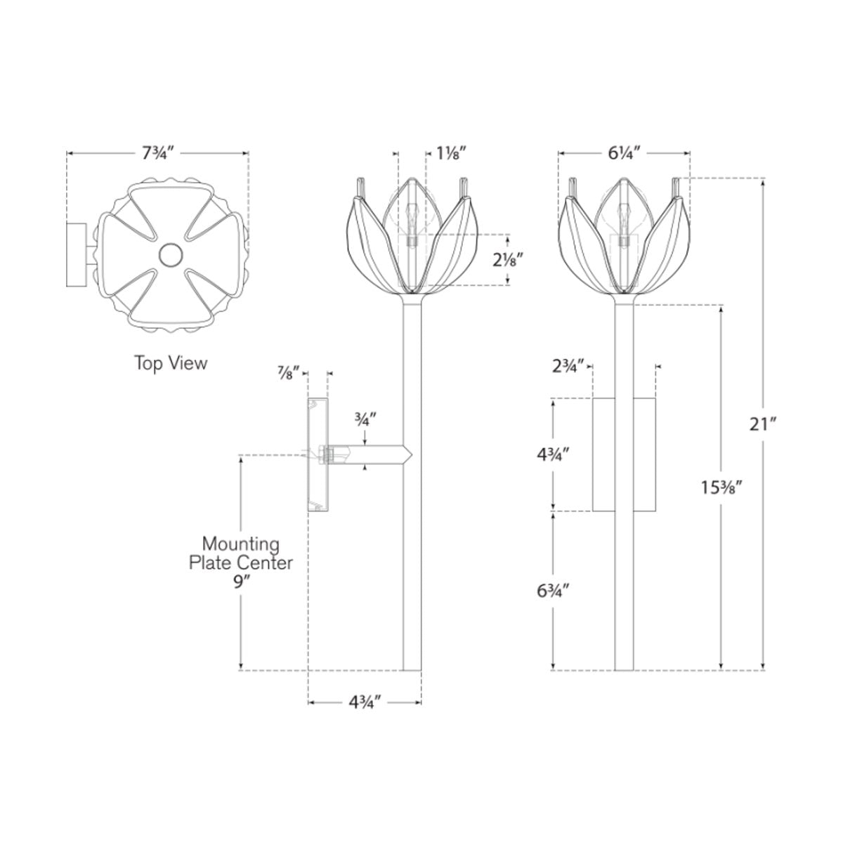 Alberto Medium Sconce - Diagram