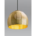 Load image into Gallery viewer, Amicus 16" Pendant - Brushed Brass Finish
