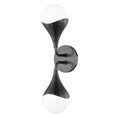 Load image into Gallery viewer, Ariana Double Bath Wall Sconce
