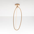 Load image into Gallery viewer, Arrival LED Pendant - Brass Finish
