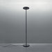 Athena LED Floor Lamp - Black