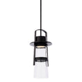 Load image into Gallery viewer, Balthus LED Outdoor Pendant - Black Finish
