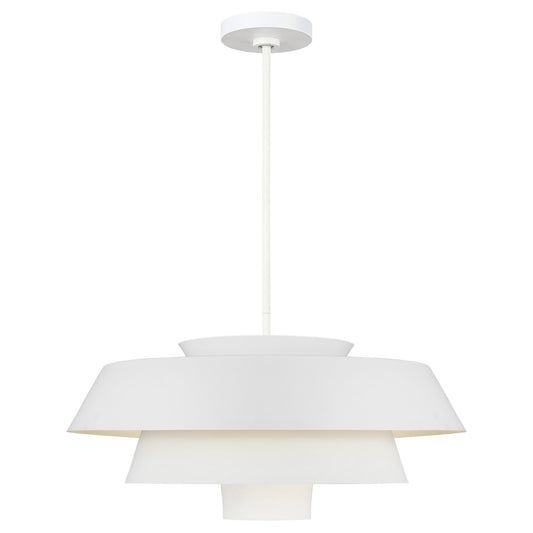 Brisbin Large Pendant - Matte White Finish