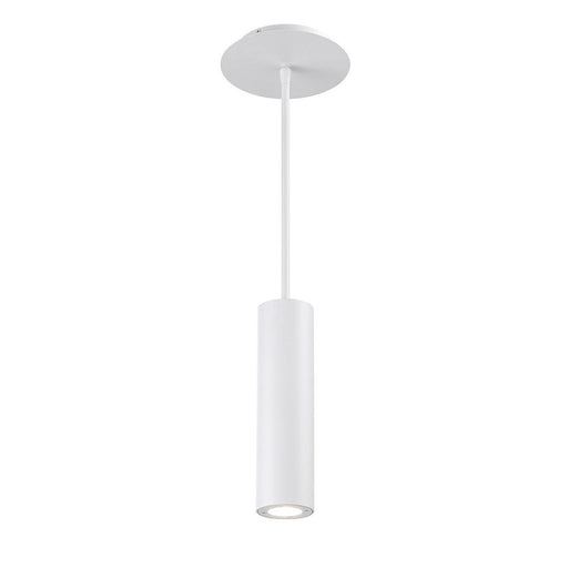 Caliber LED Indoor Outdoor Pendant - White Finish
