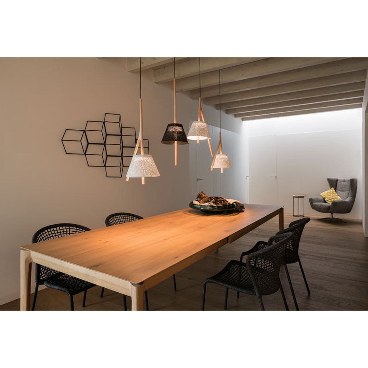 Cambo LED Pendant  - Display