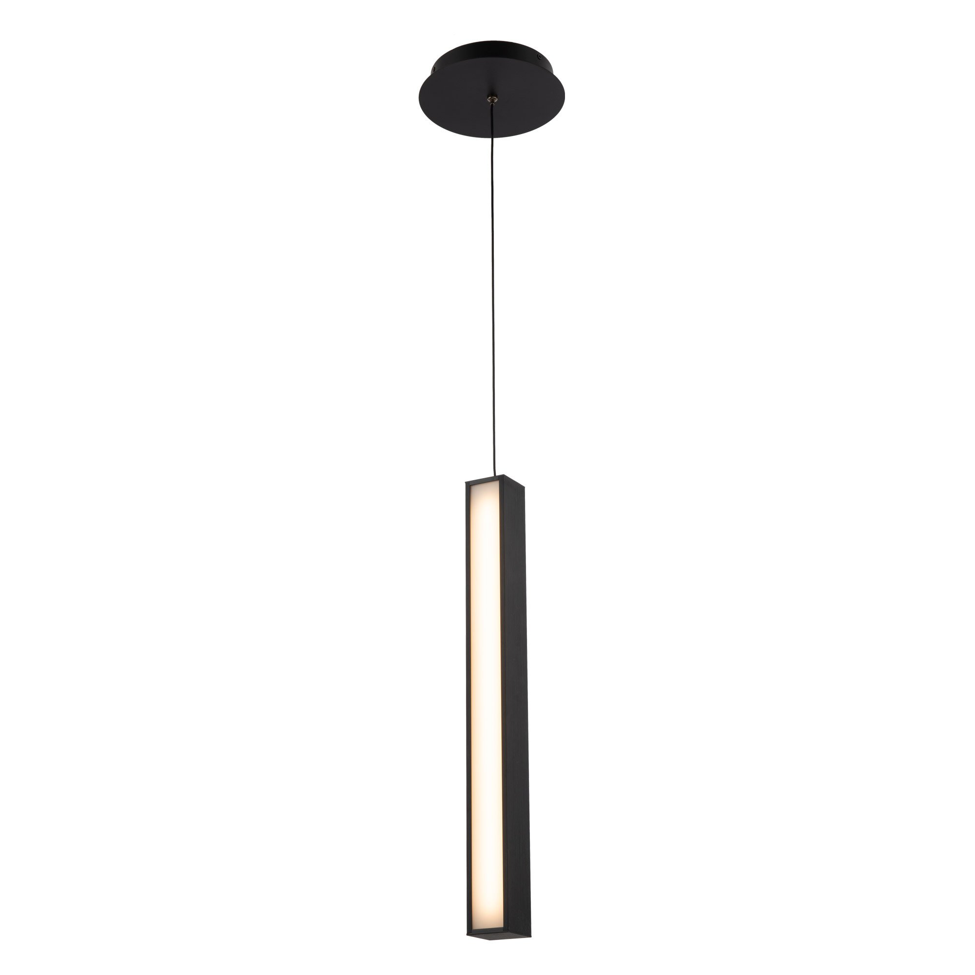 Chaos 20" LED Mini Pendant - Black Finish