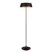 China LED Floor Lamp - Black Shade
