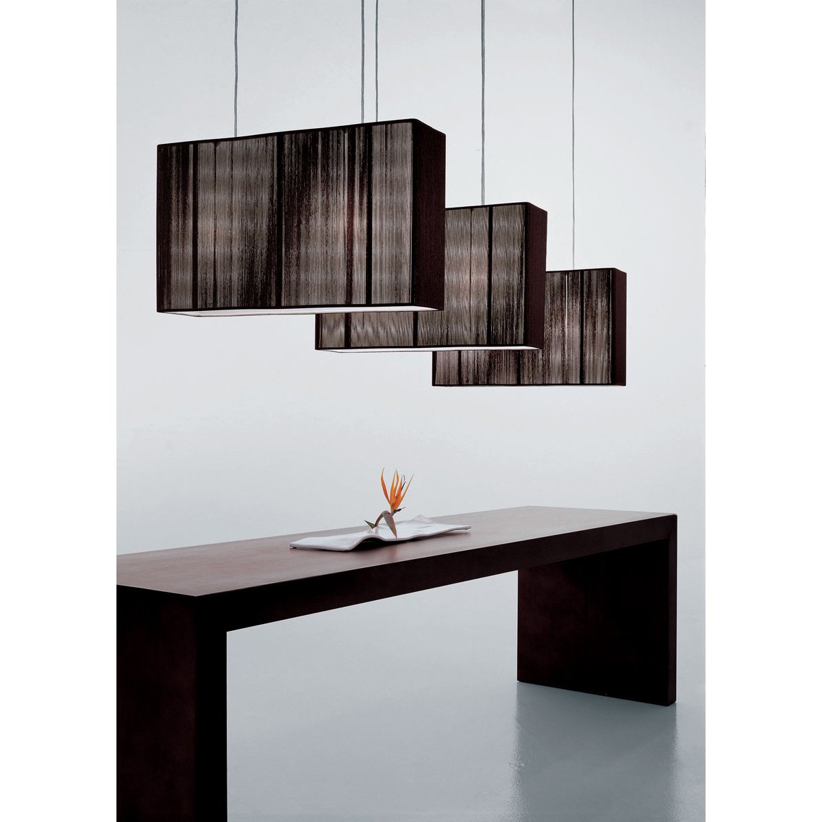 Clavius P Pendant - Display