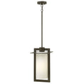 Load image into Gallery viewer, Colfax Outdoor Pendant - Bronze Finish
