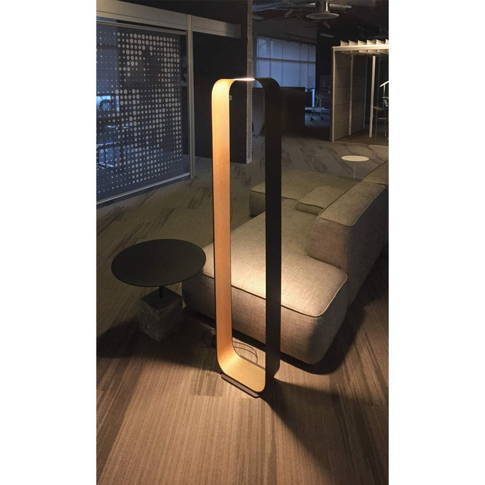 Contour LED Floor Lamp - Display