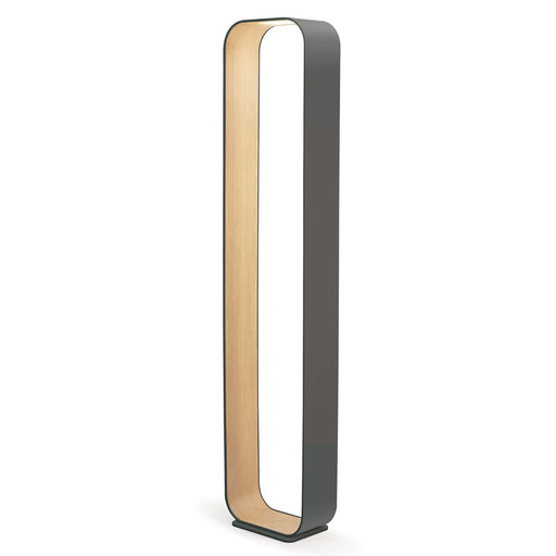 Contour LED Floor Lamp by Pablo