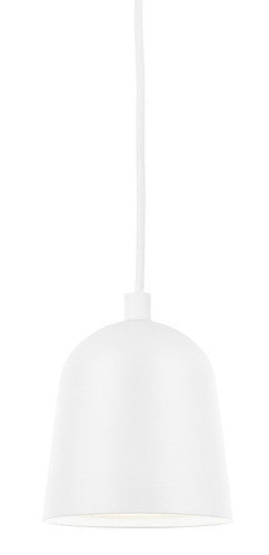 Convex Pendant Light