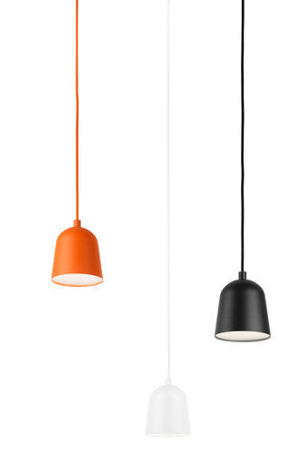 Convex Pendant Light