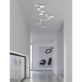 Load image into Gallery viewer, Coral Surface Luminaire LED Flushmount - Display
