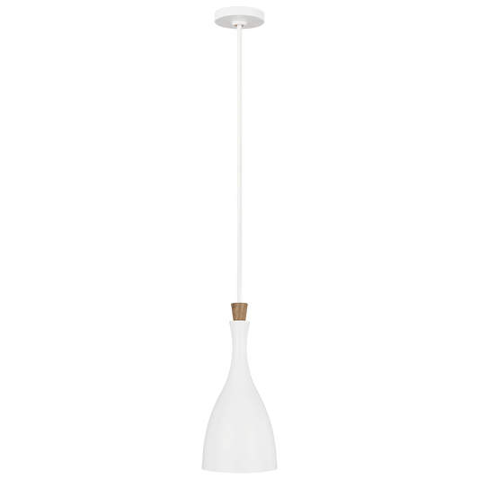 Darwin Mini Pendant - Matte White Finish